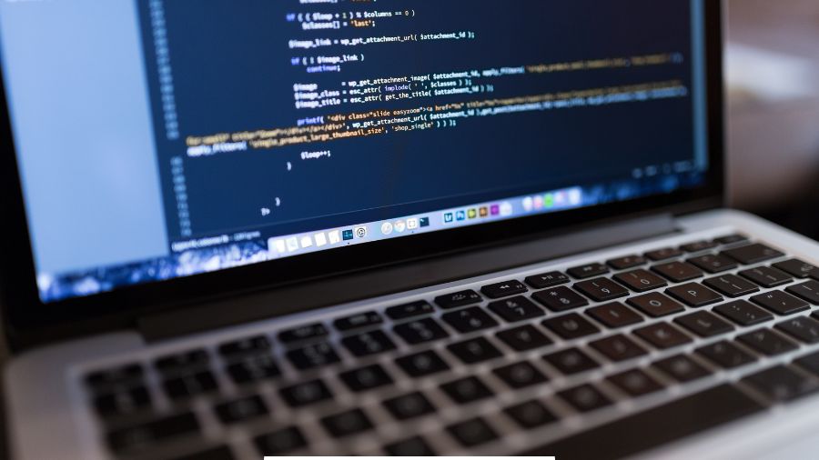 Best WordPress Theme Plugins