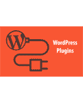 WP Plugin Development Service in India WP Plugin Development Service in India